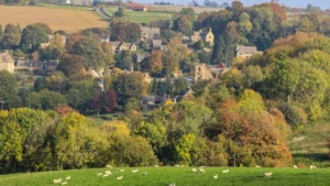 A scenic view of a rural English village nestled among autumn trees and green fields with sheep grazing in the foreground.