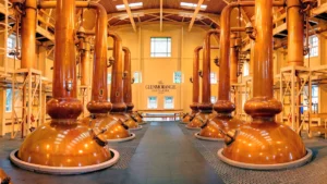 A long row of gleaming copper distillery stills inside a large, professional production hall.