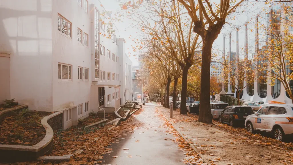 A quiet urban street lined with parked cars and autumn trees in a city.