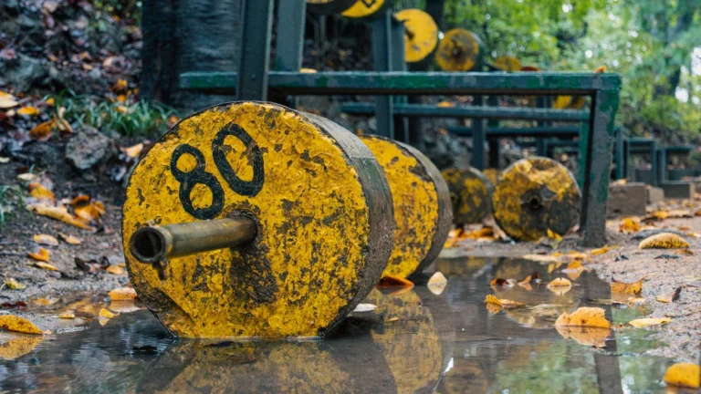 Rustic outdoor gym equipment featuring heavy yellow dumbbells in a park setting with autumn leaves.
