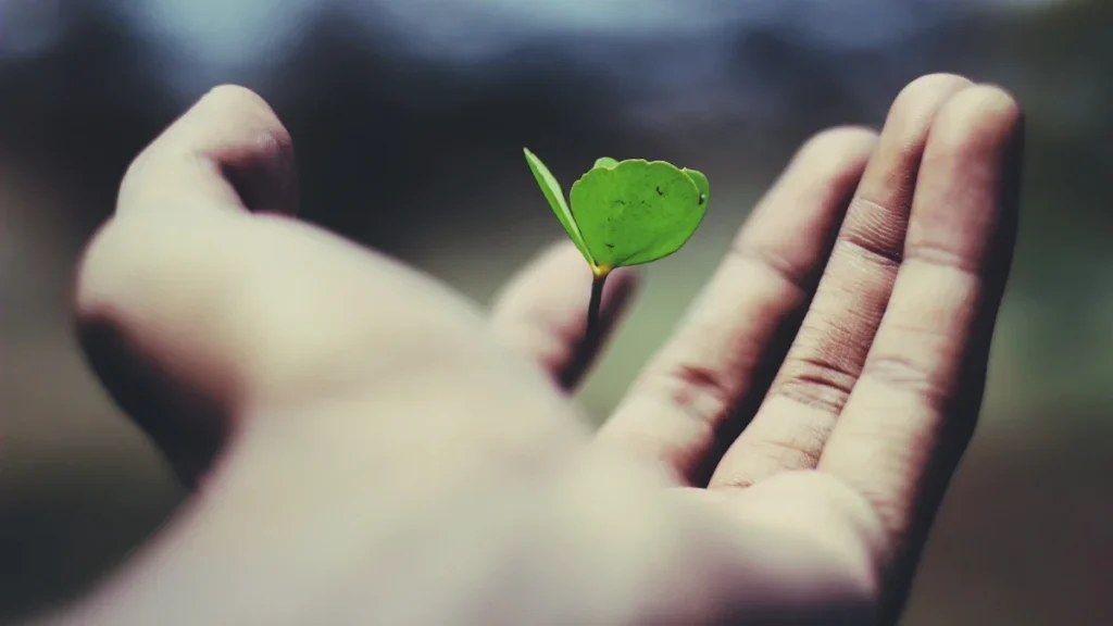 A tiny green sprout rests in an open hand, symbolizing the potential for professional growth.