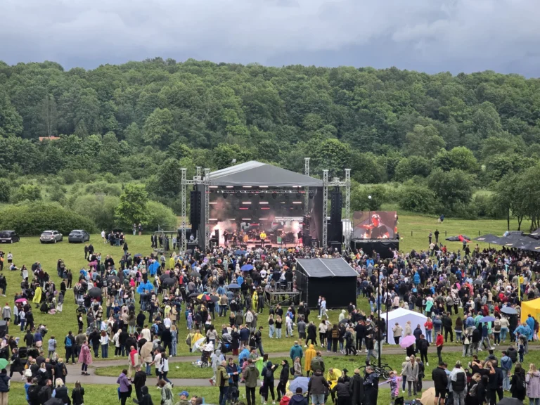 Crowd watches an outdoor concert stage in a grassy field backed by a dense green forest.