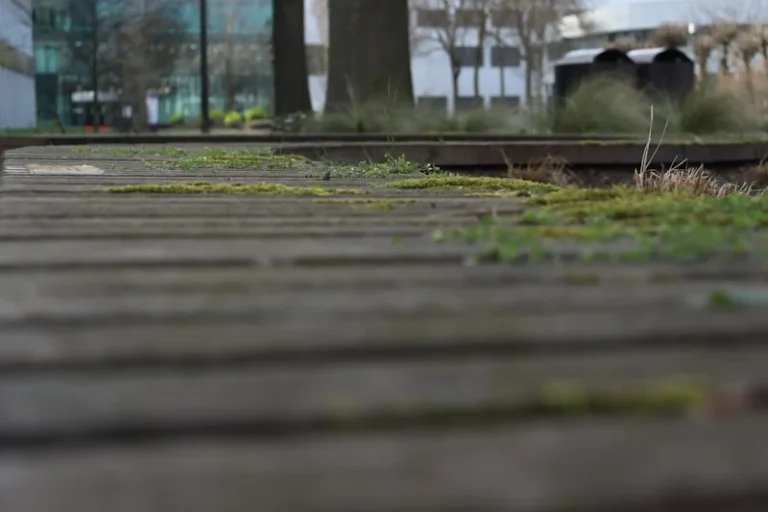 Greener streets and city centre living: Nottingham's new long-term plan