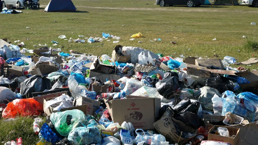 Havering fly-tipper fined as residents face clean-up bill