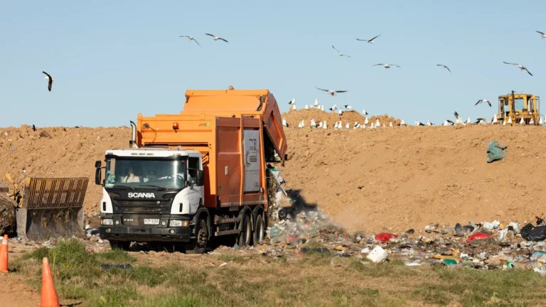 An orange Scania garbage truck unloading waste at a landfill site with birds flying overhead.