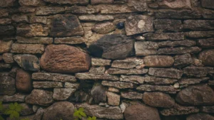 A historic medieval stone wall with green plants growing between the weathered grey rocks and limestone.