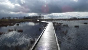 A long wooden boardwalk stretches across a calm lake under a dramatic, sun-pierced cloudy sky.