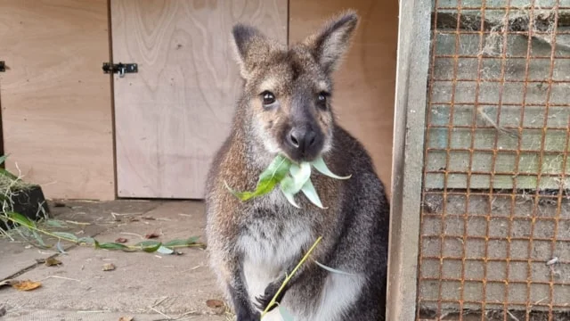 Leeds zoo joins UK’s elite with national excellence accreditation