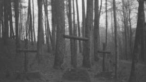 A somber black and white photograph of simple wooden crosses marking graves in a dense forest.