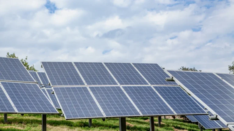 Rows of photovoltaic solar panels installed in a grassy field under a bright blue sky with white clouds.
