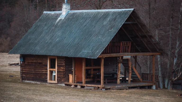 A traditional brown wooden house with a corrugated roof in a rural Lithuanian setting.