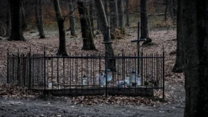 A somber grave site in a dense forest, enclosed by a black metal fence with candles.
