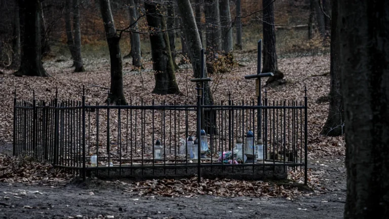 A somber grave site in a dense forest, enclosed by a black metal fence with candles.
