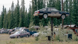 A weathered used car mounted on a tall pole above a rural scrapyard with evergreen trees.