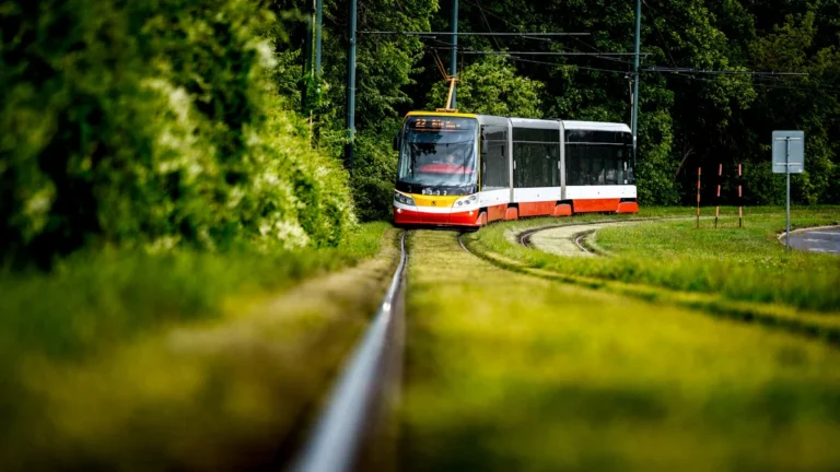 A modern red and white tram moves along a green rail track surrounded by lush trees.