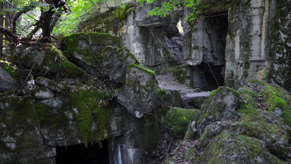 Crumbling moss-covered concrete bunker ruins in a dense Lithuanian forest.