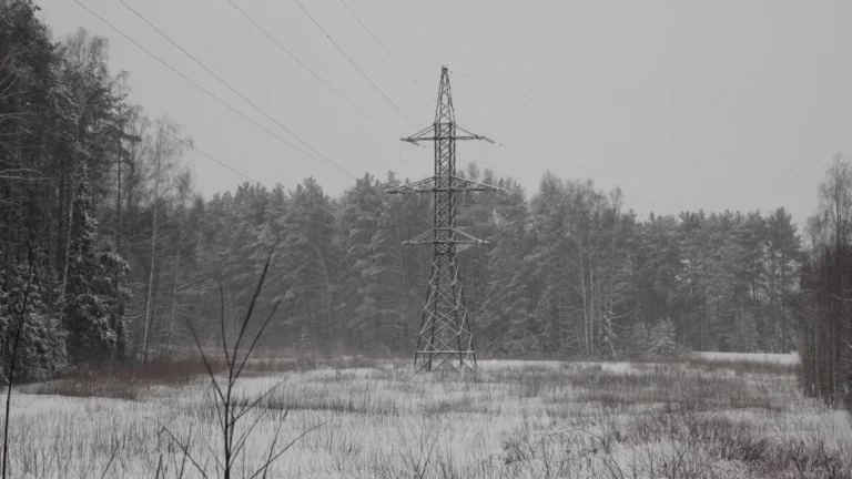 A high-voltage electricity pylon stands in a snowy field against a backdrop of dense pine forest in Lithuania.