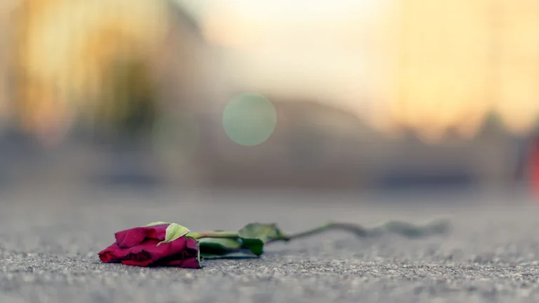 A single red rose lying wilted on a grey asphalt pavement with a blurred background.