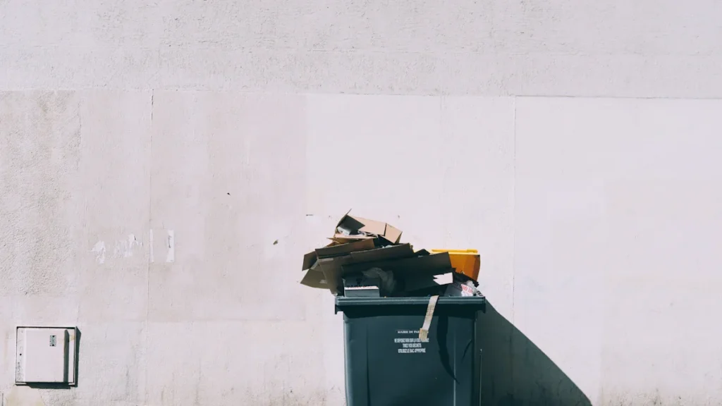 Northampton bin changes move ahead after scrutiny