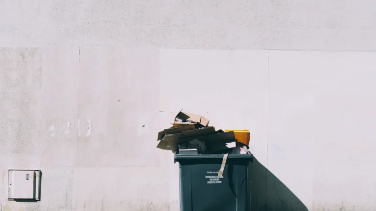 Northampton bin changes move ahead after scrutiny