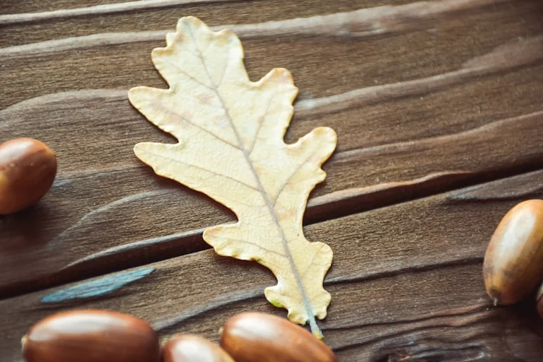 Oak Apple Day: why 29 May still echoes in UK customs