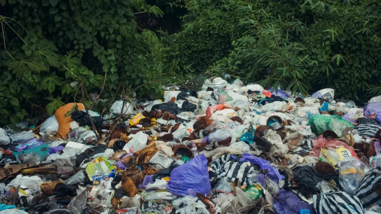 Redbridge nature reserve fly-tip brings £10k fines