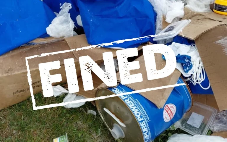 Redbridge nature reserve fly-tip brings £10k fines