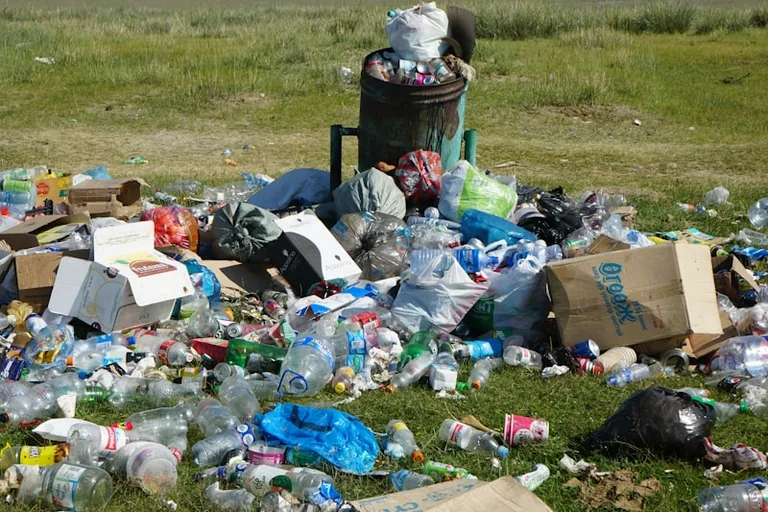 Redbridge nature reserve fly-tip brings £10k fines