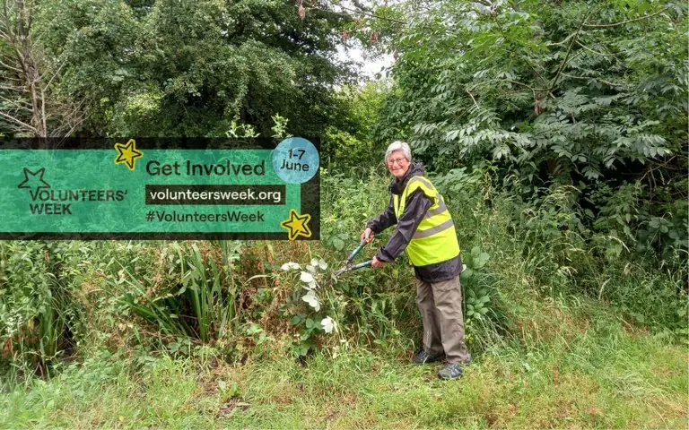 Redbridge residents invited to start volunteering: practical information