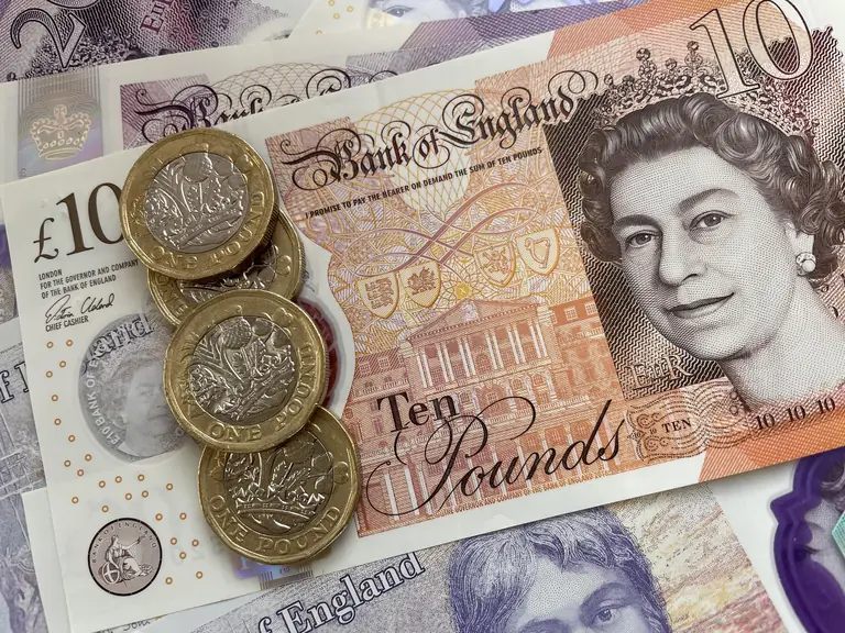 Shropshire finance watchdog to review council plans