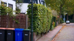 A row of recycling and waste bins lined up on a tidy residential street with fallen autumn leaves.