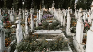 A wide view of a well-maintained cemetery with numerous stone crosses and colorful flowers in bloom.