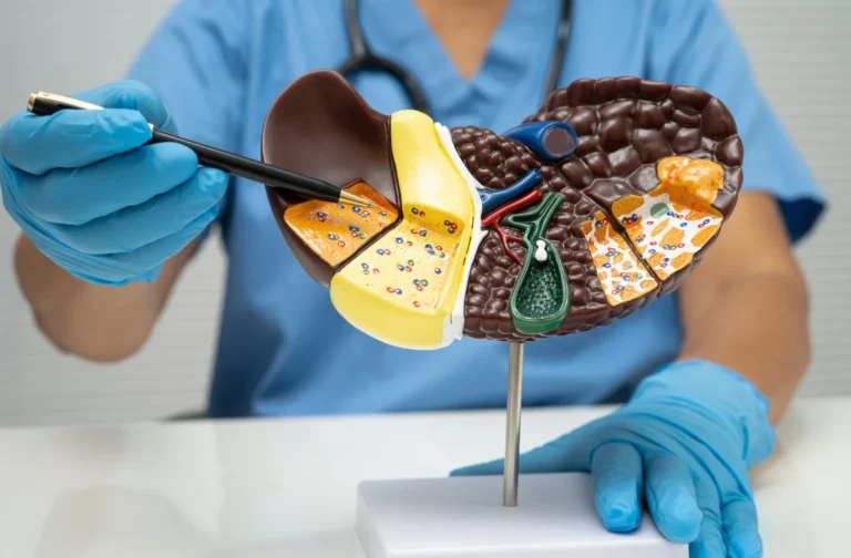 Medical professional in blue scrubs points at an anatomical liver model with a black pen.