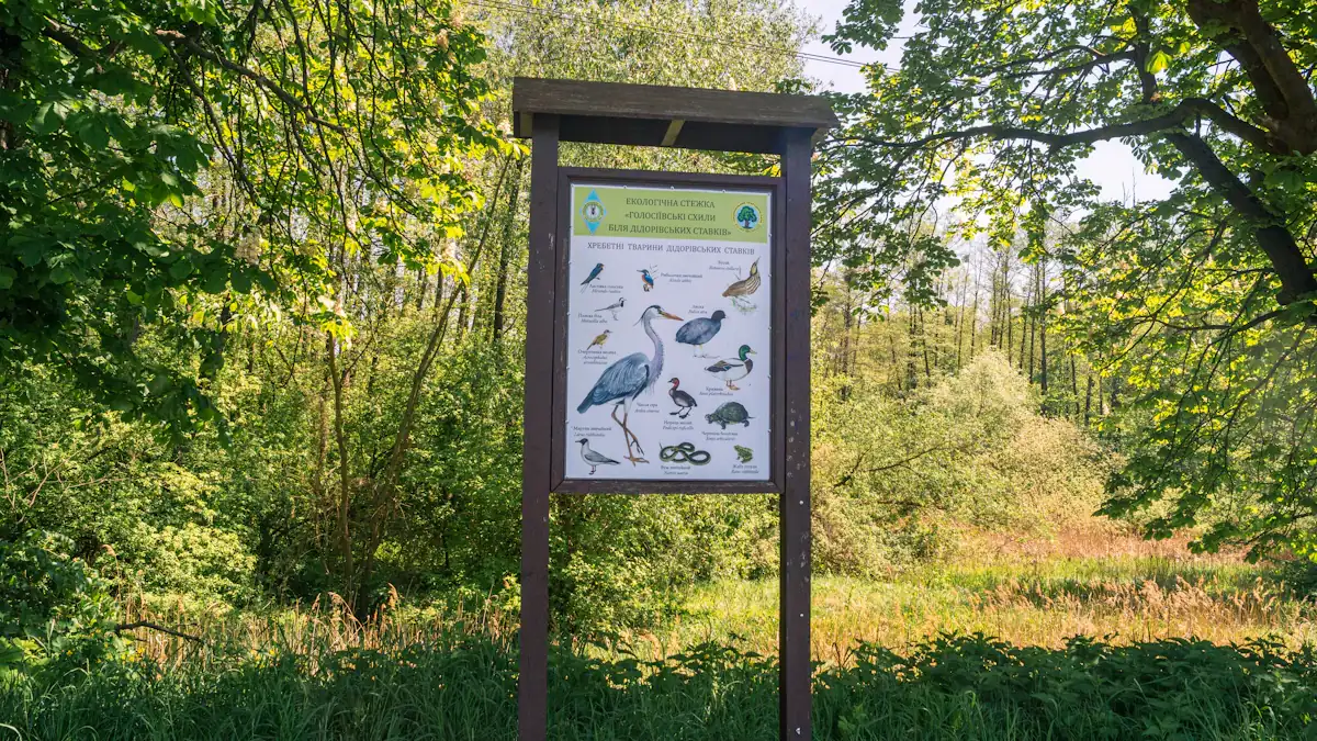 An informational nature trail sign with bird illustrations standing in a green forest.