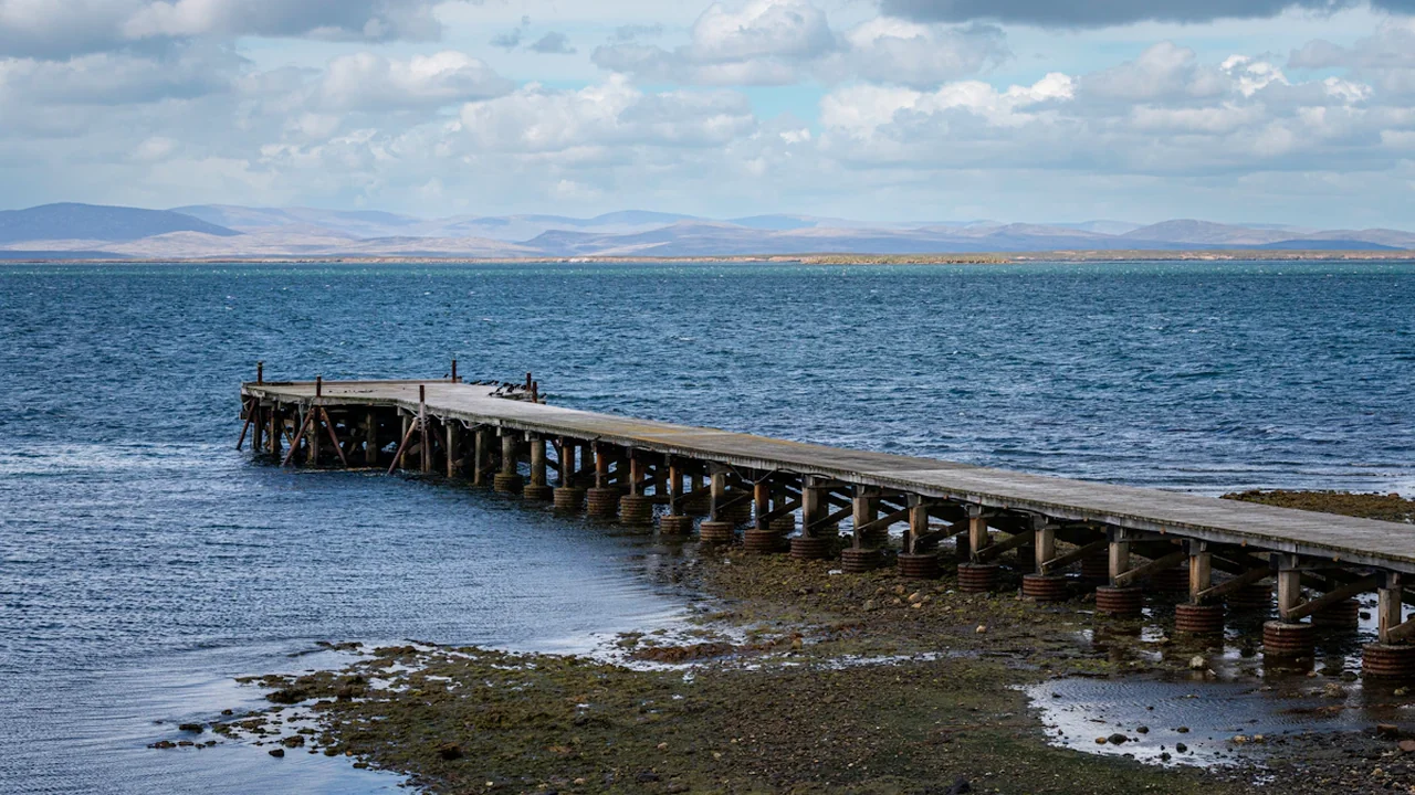 A long wooden pier stretching into the waters near West Falkland, UK territory.
