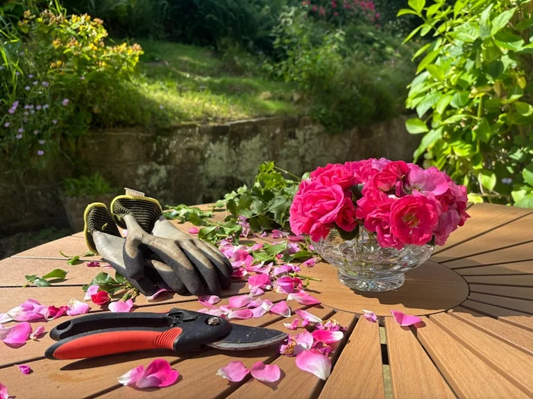 Garden Quotes That Turn Early Summer Into a Practical Reflection on Care