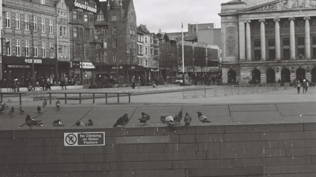 Pigeons resting on a stone wall overlooking Nottingham's historic Old Market Square.