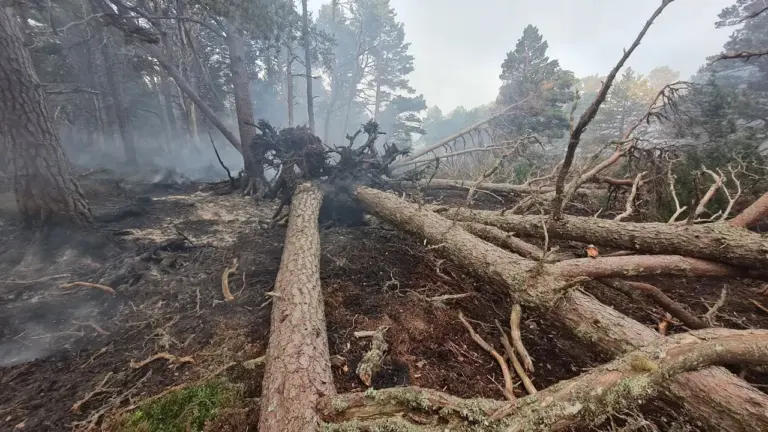 Cairngorms cordon may move as wildfire risks remain
