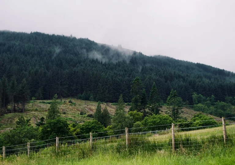 Cairngorms Residents Return Home as Wildfire Response Continues