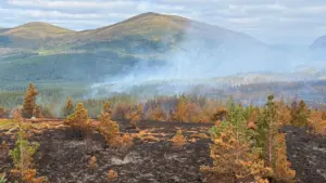 Smoke rises from a wildfire burning through a pine forest beneath a mountain range.