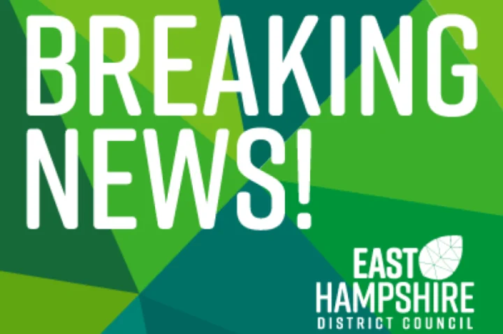 East Hampshire residents face less say on local plans