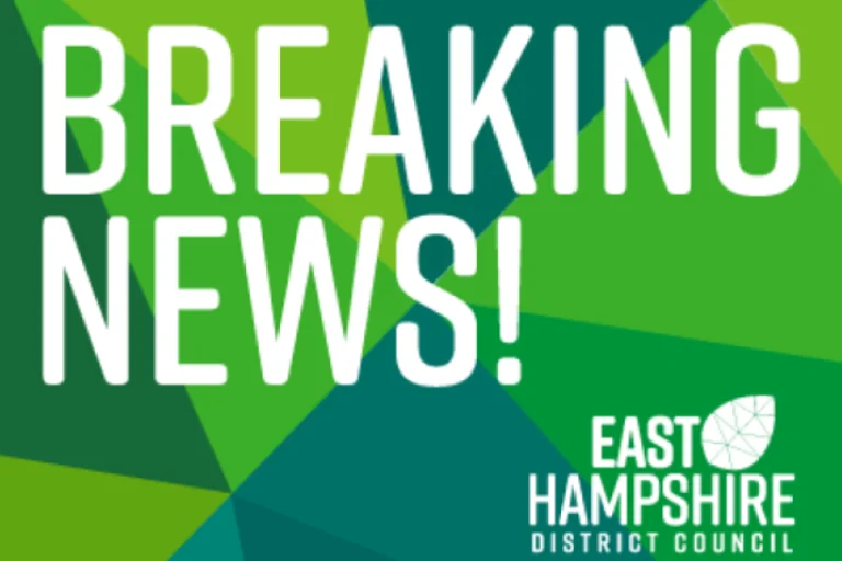 East Hampshire residents face less say on local plans