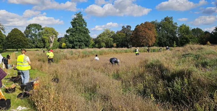 Heatwave leaves Lambeth’s park ponds under strain