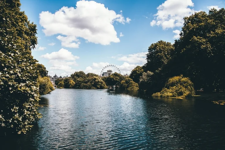 Heatwave leaves Lambeth’s park ponds under strain