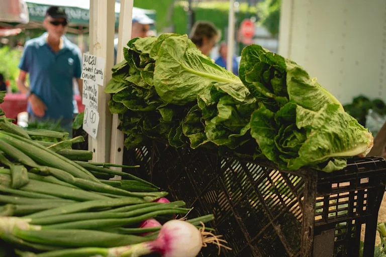 Lincoln Farmers’ Market returns free to Castle Hill