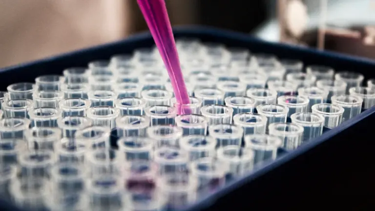 Manchester research points to safer antifungal drugs