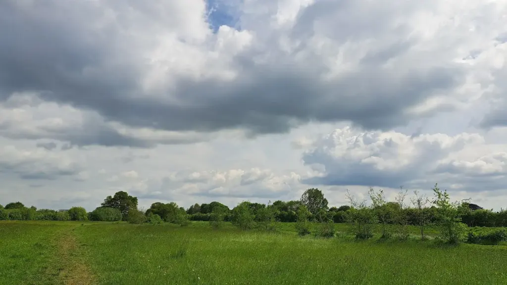 A lush green meadow under a vast sky filled with dramatic, puffy white clouds.