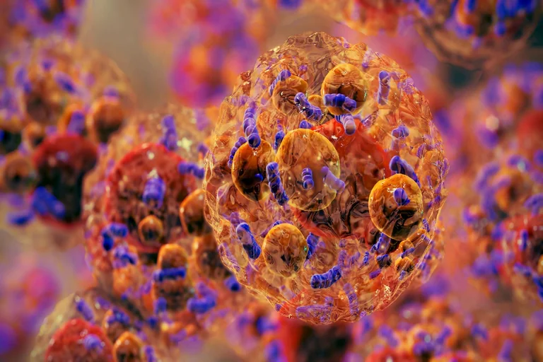 UK obesity institute targets future NHS treatment