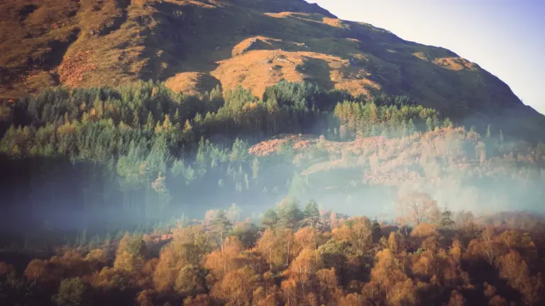 Wildfire Warning Extended Across Scotland: What Residents Must Avoid