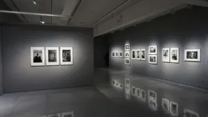 All Shades of Brown: free in Leicester until 29 August